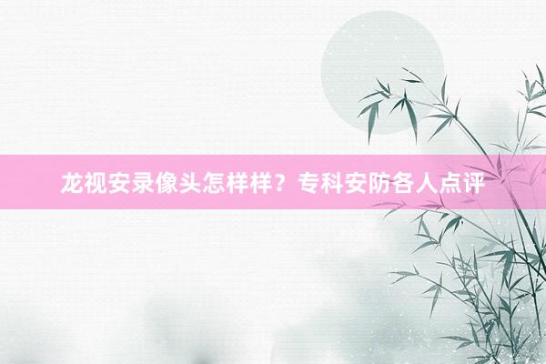 龙视安录像头怎样样？专科安防各人点评